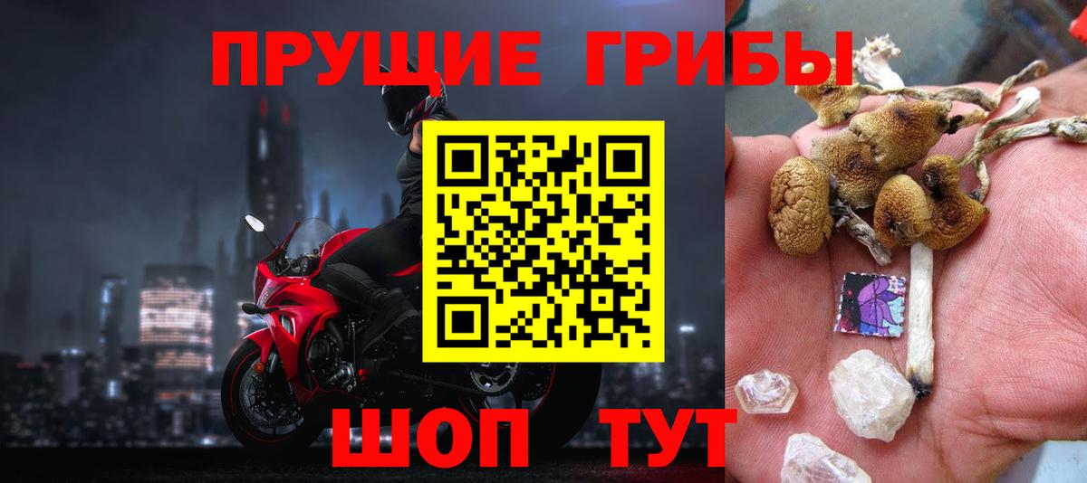 Псилоцибиновые грибы MAGIC MUSHROOMS Протвино